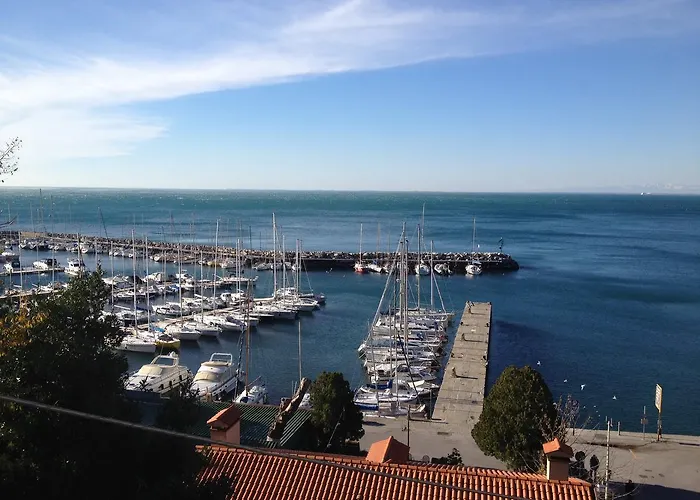 米妮翁酒店 酒店 *